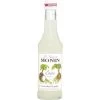 Monin Sirup Cocos 250ML